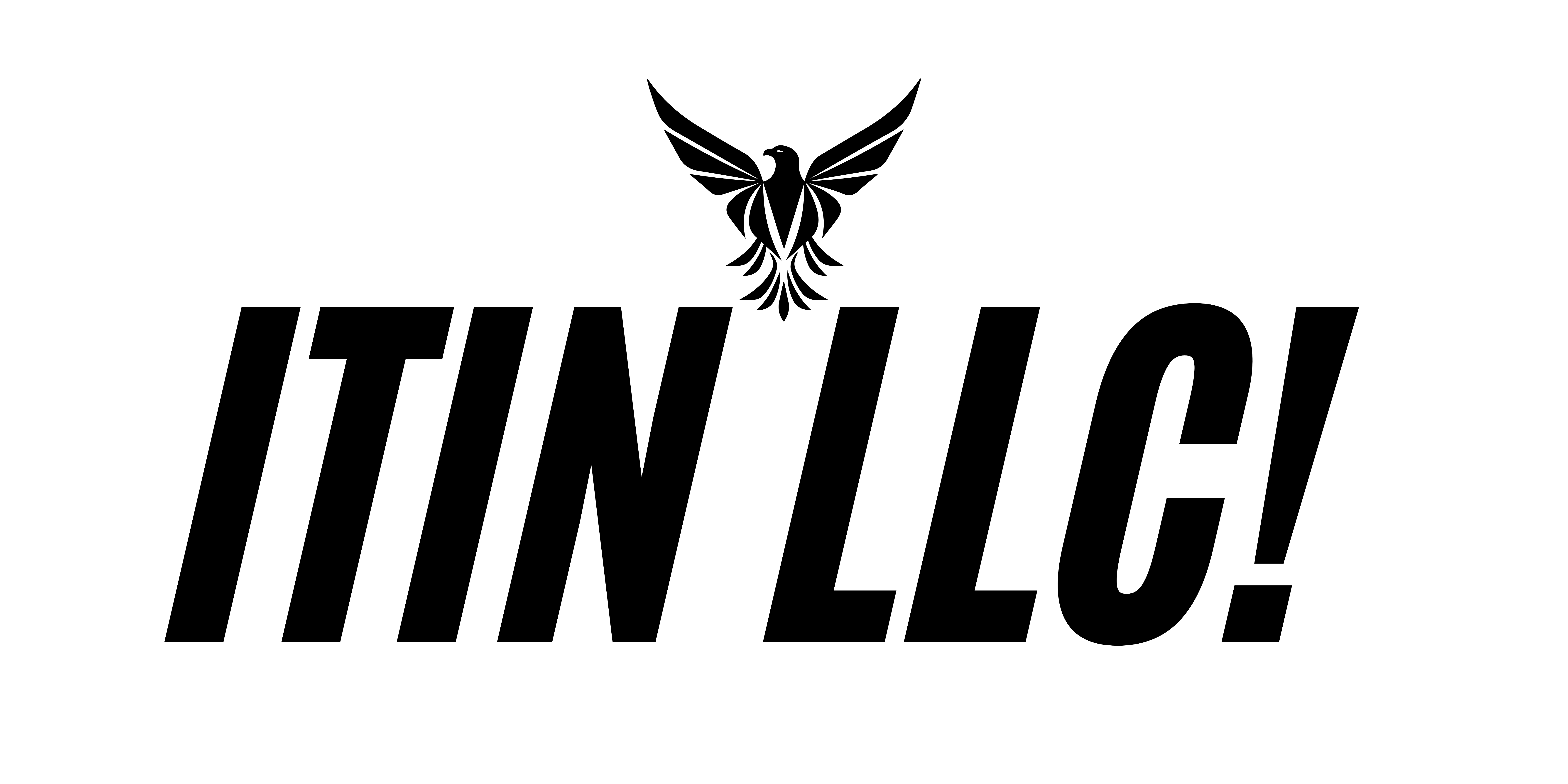 ITIN LLC